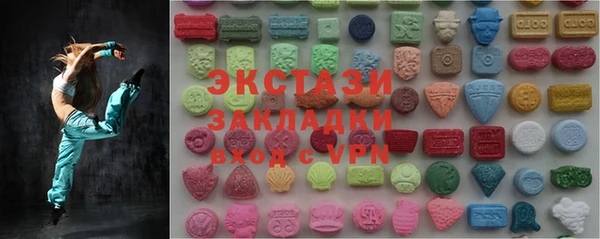 крисы Богородицк