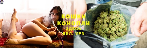 крисы Богородицк