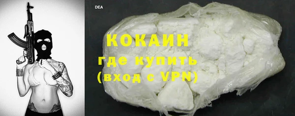 крисы Богородицк