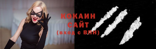 крисы Богородицк