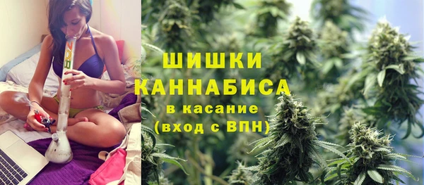 крисы Богородицк