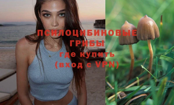 mix Богородск