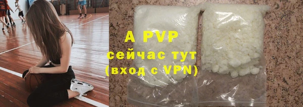 крисы Богородицк