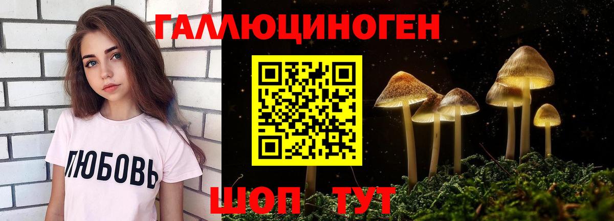 Бугульма  Псилоцибиновые грибы GOLDEN TEACHER  Вход с VPN  Галлюциногенные грибы MAGIC MUSHROOMS 